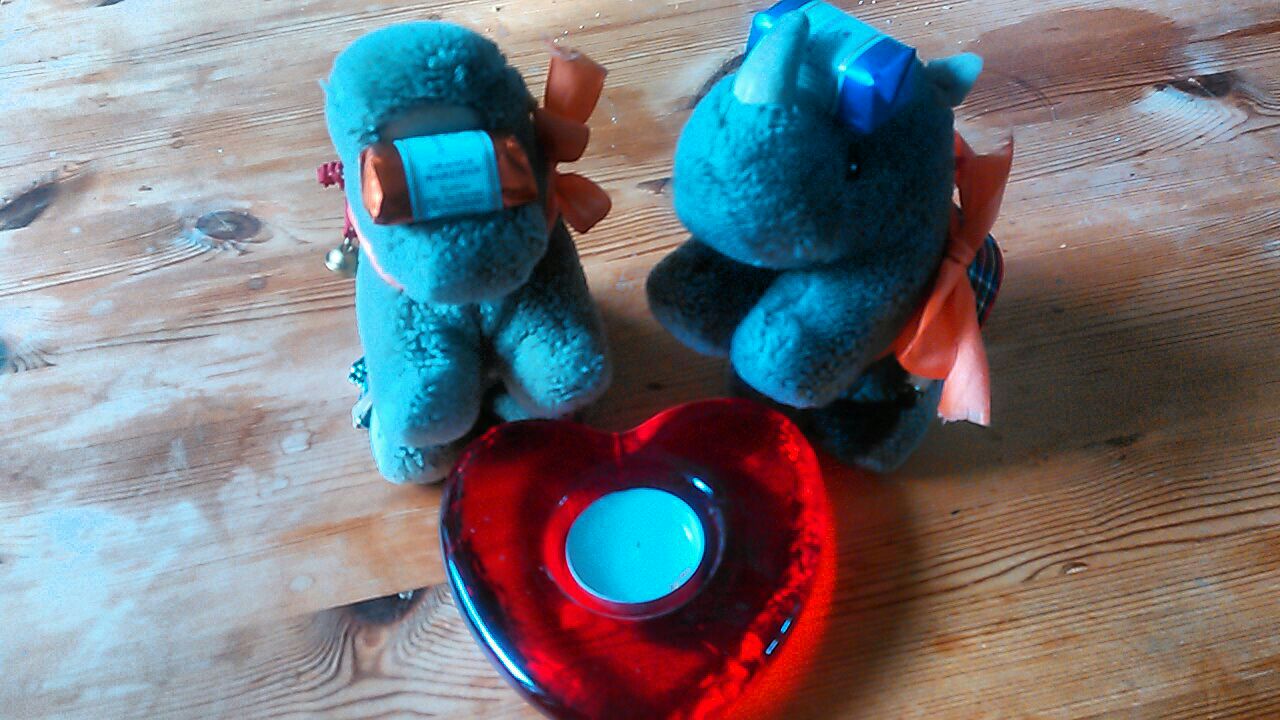 hm-20200215-094654.jpg