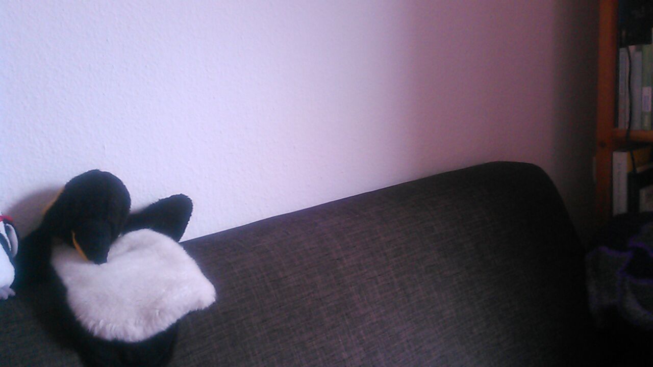 hm-20201007-070923.jpg