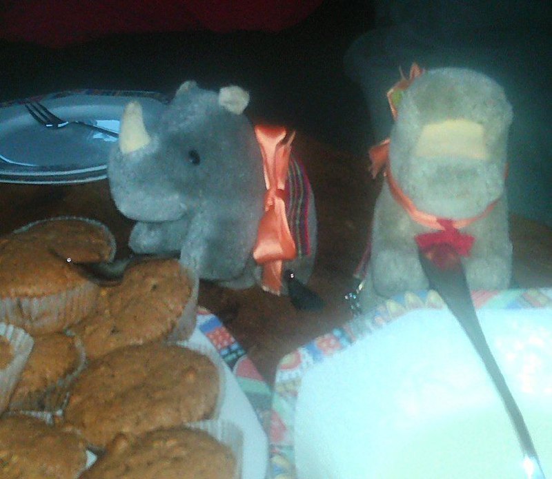 hm-20201107-154037.jpg