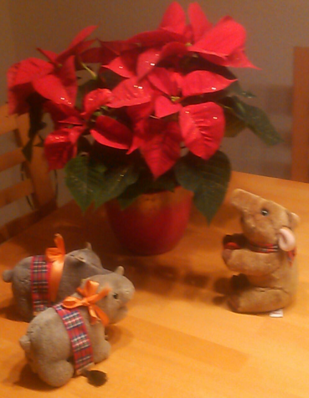hm-20201124-182159.jpg