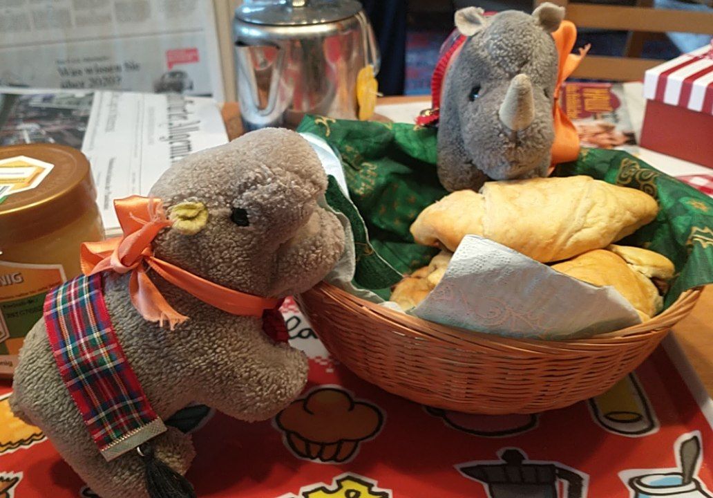 hm-20201212-100043.jpg
