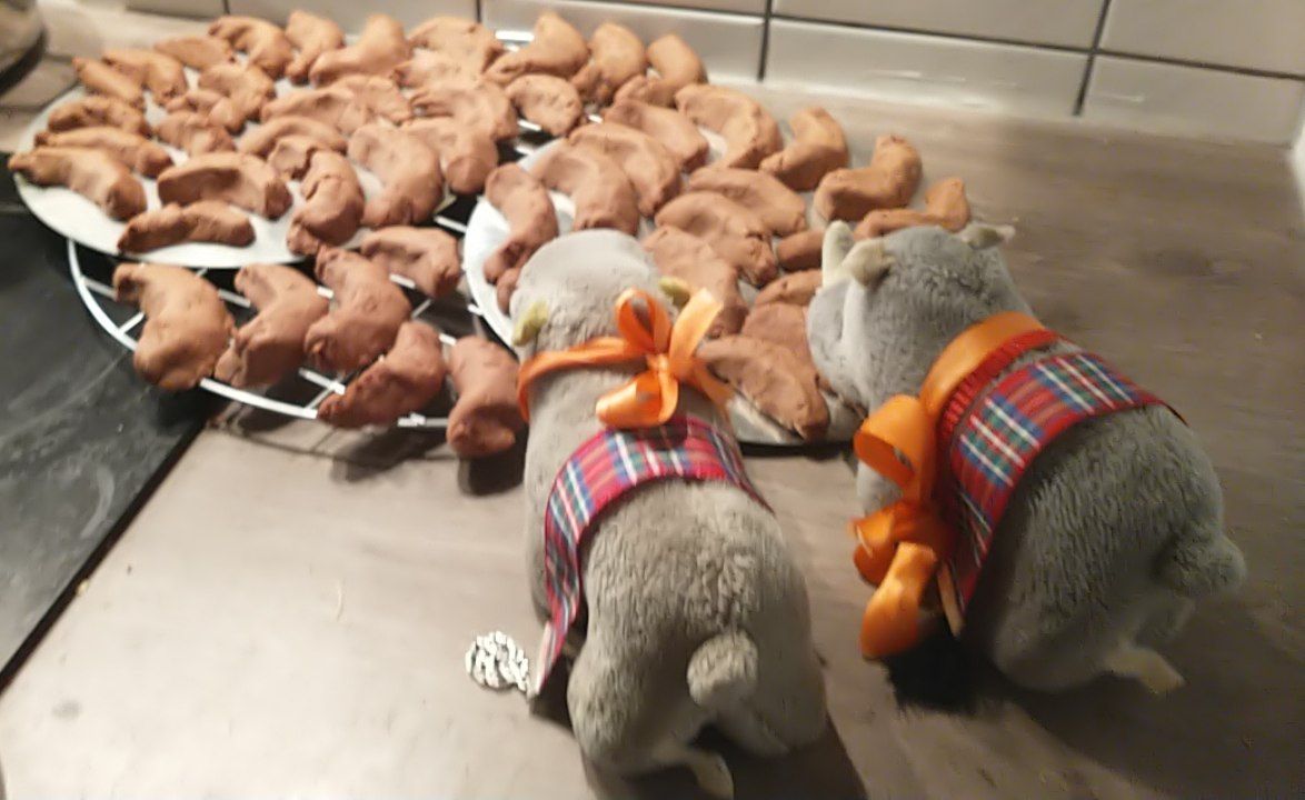 hm-20201212-162710.jpg