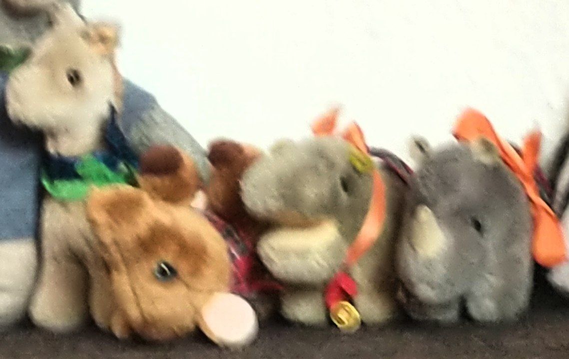 hm-20201220-103106.jpg