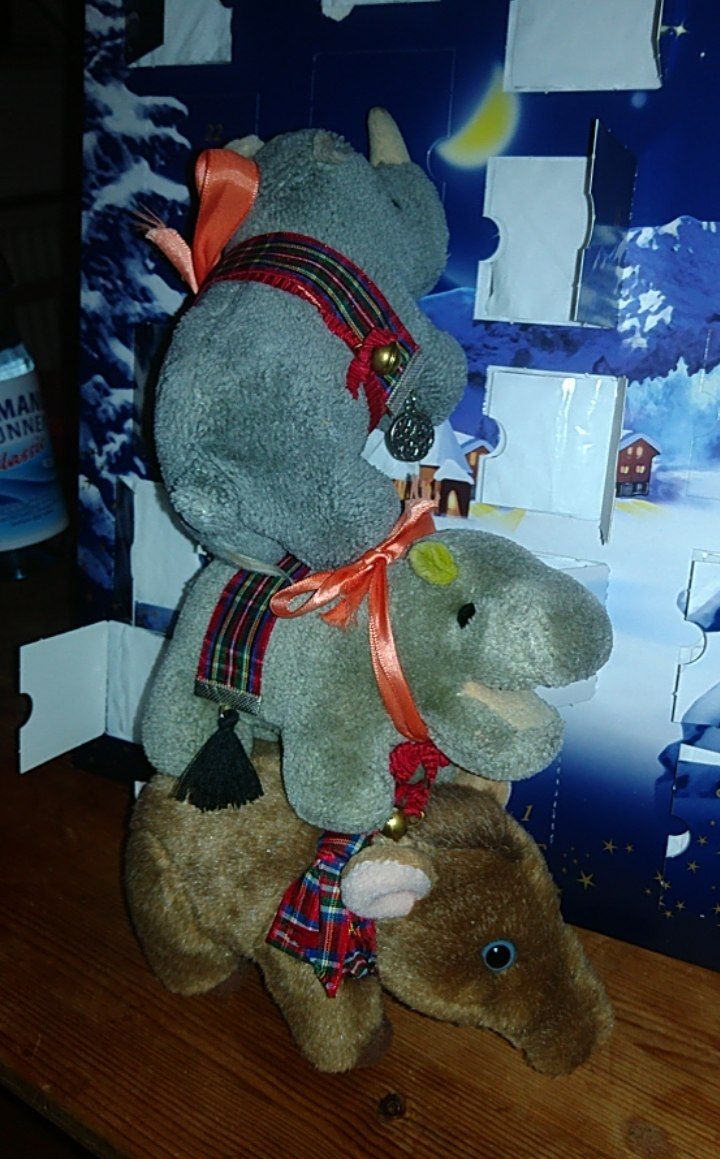 hm-20201220-200308.jpg