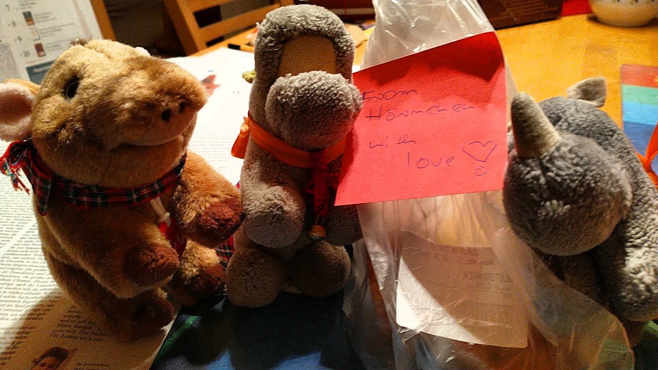 hm-20201222-171737.jpg
