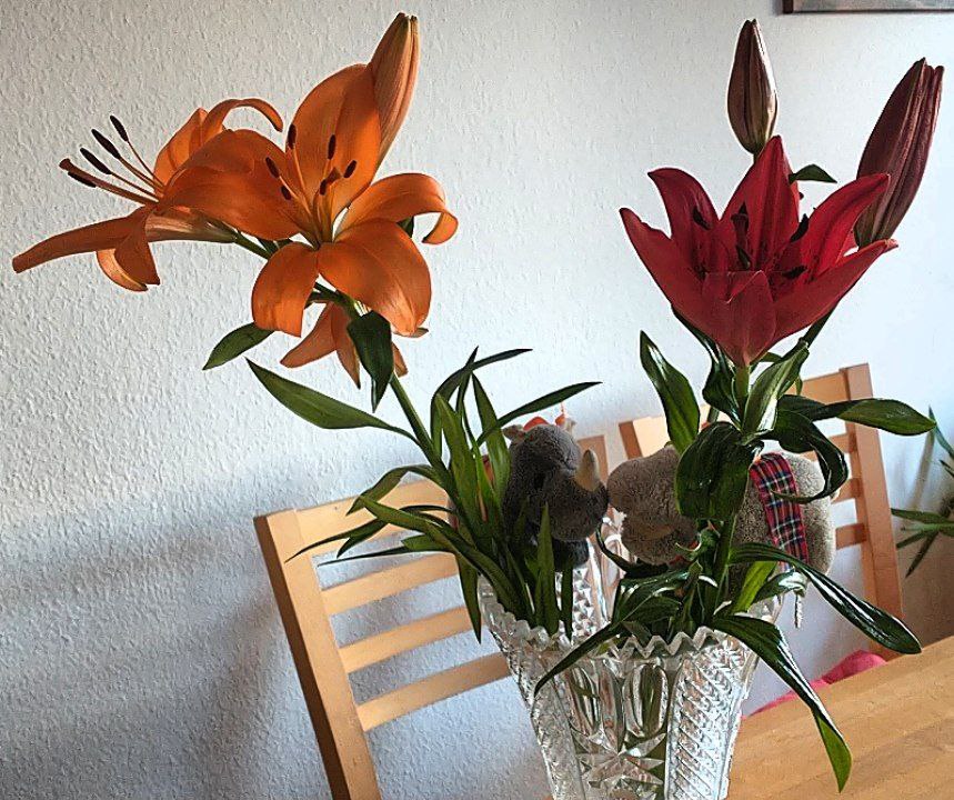 hm-20210221-155943.jpg