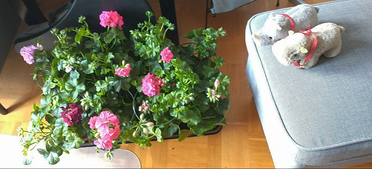 hm-20210514-105806.jpg