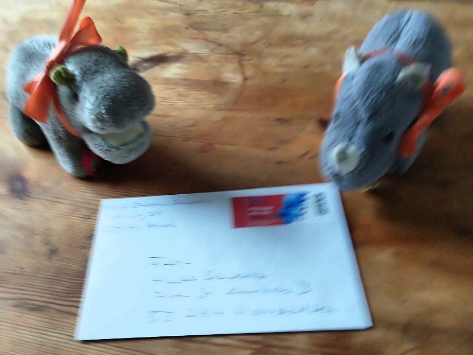 hm-20210928-165019.jpg