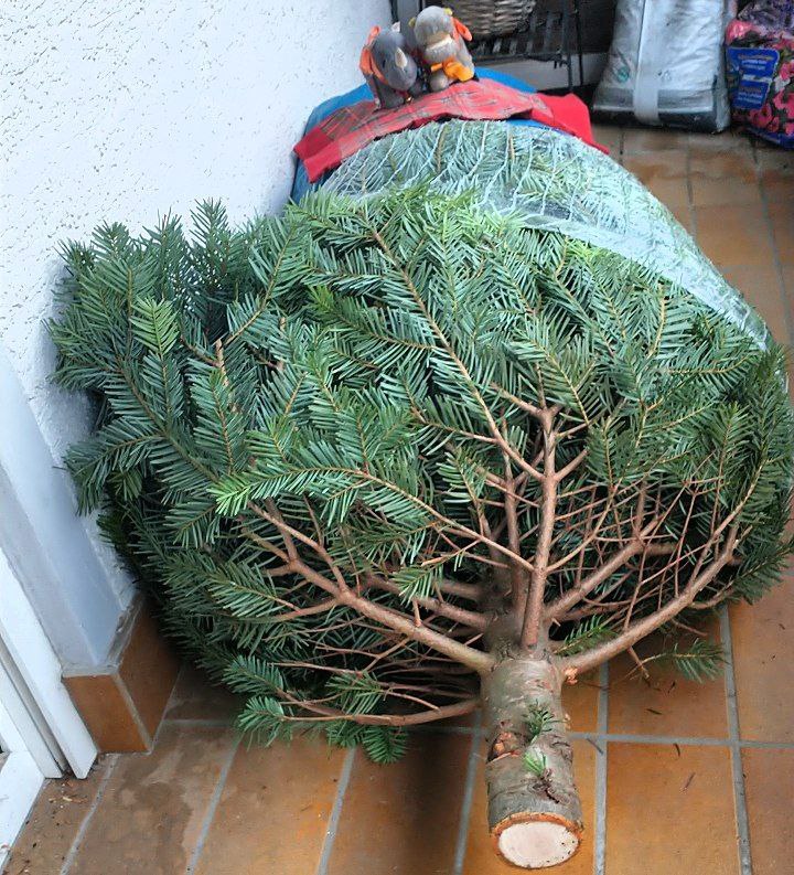 hm-20211217-082528.jpg