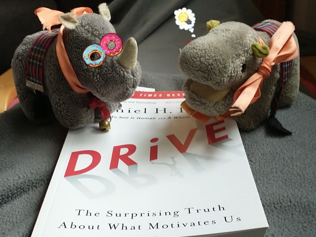 hm-20220122-151014.jpg